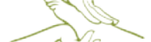 image (2)